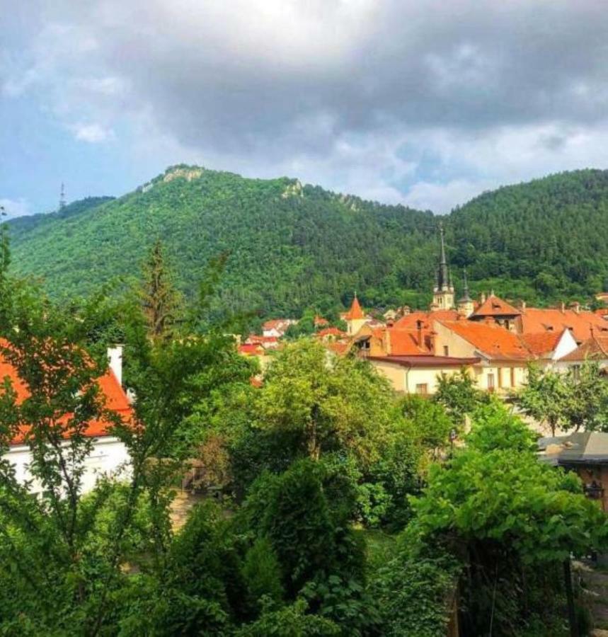 Casa Alise-Luise Apartment Brașov Exterior foto